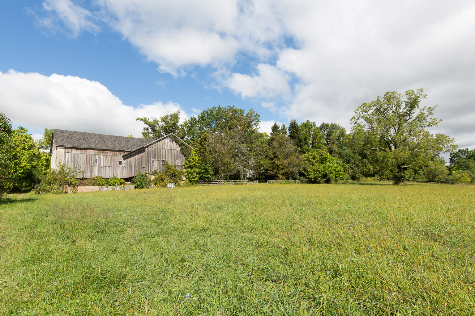 Byrne Family Preserve