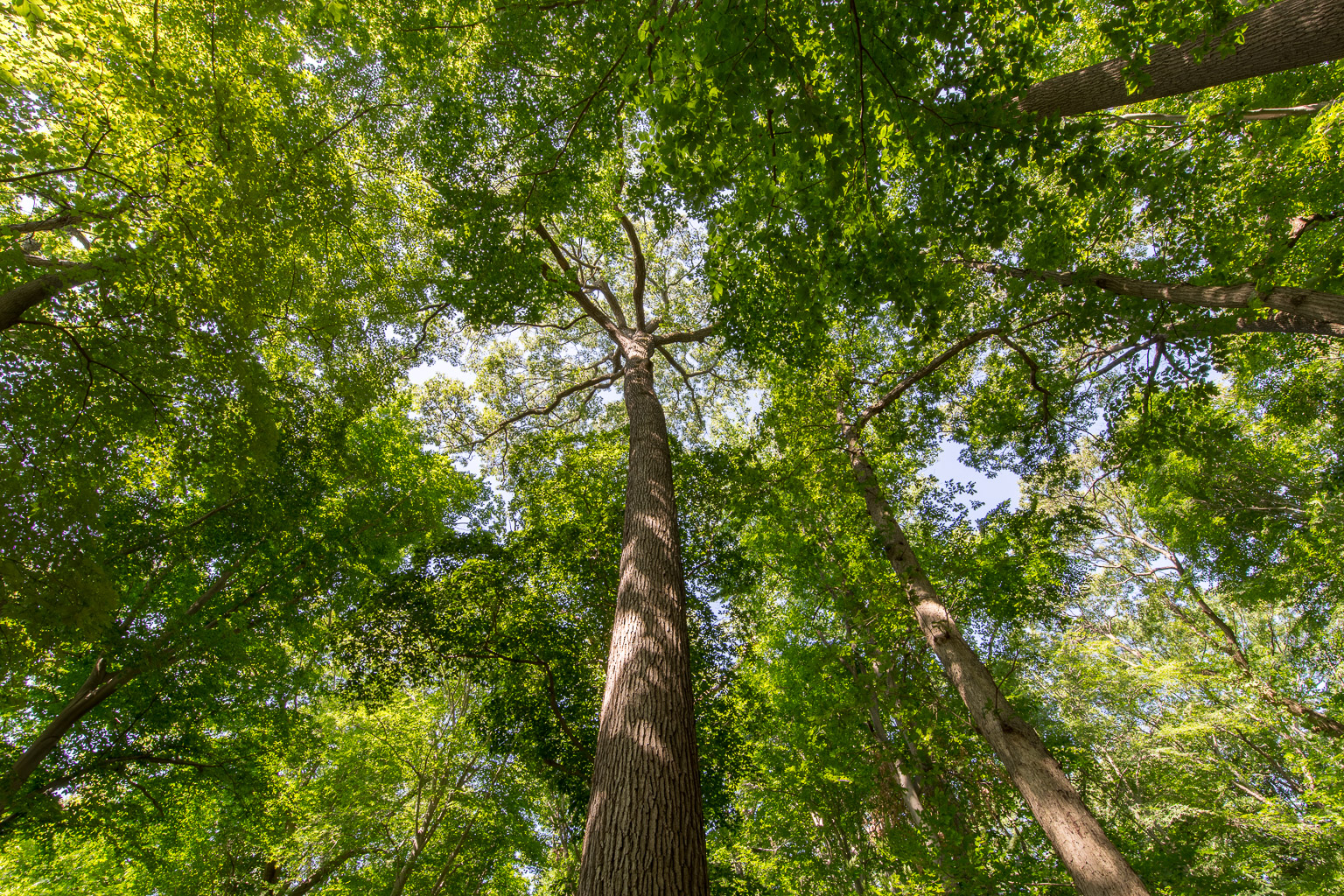 20150607-1I8A7751-HDR.jpg