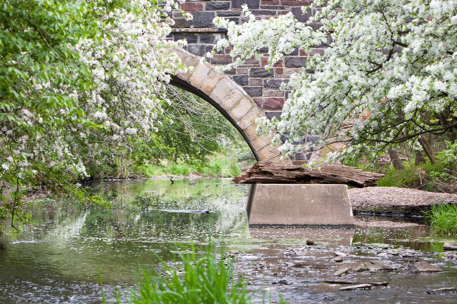 Swedesford Rd bridge, Upper Gwynedd