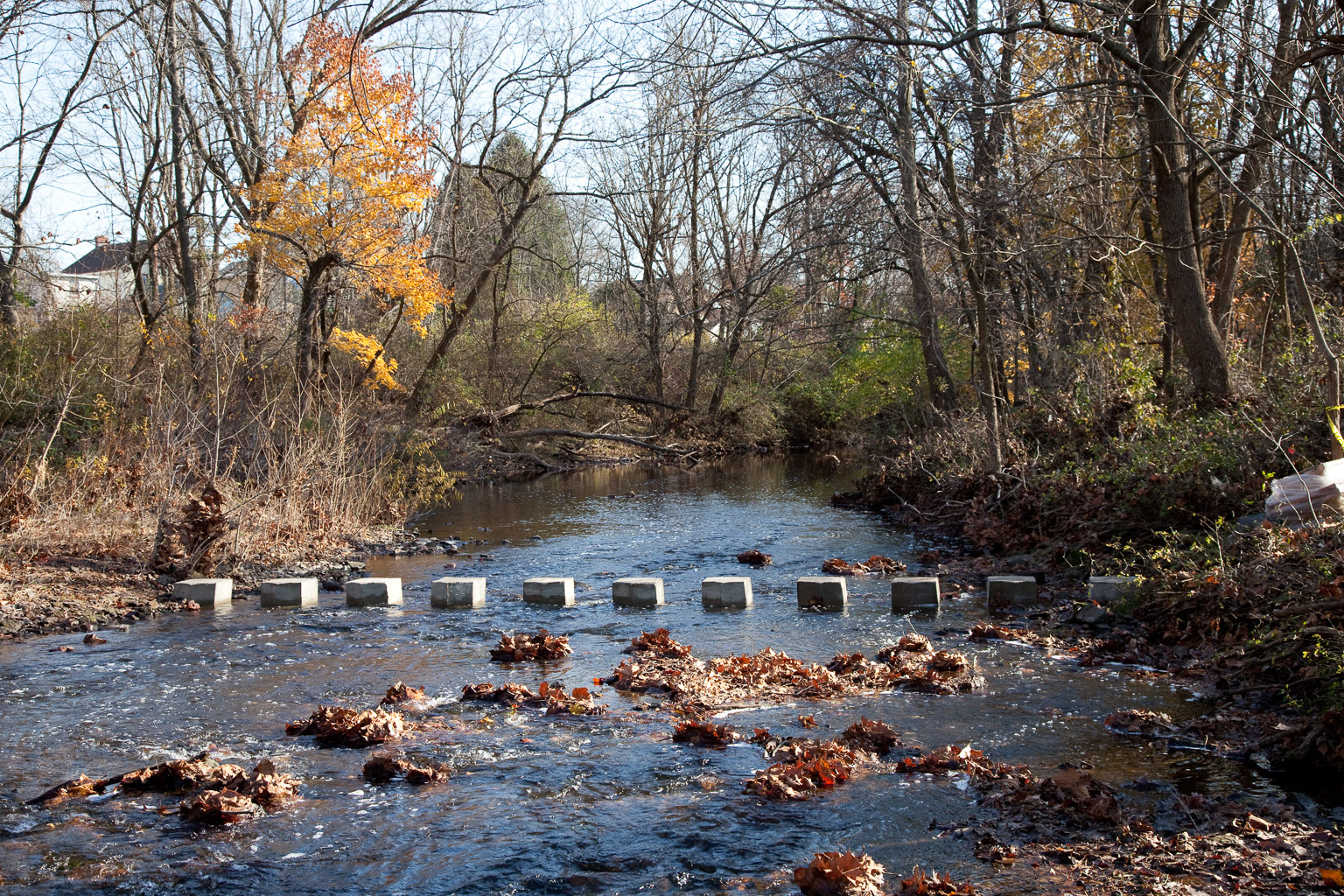 Wissahickon Garden Club Stepping Stones, Ambler