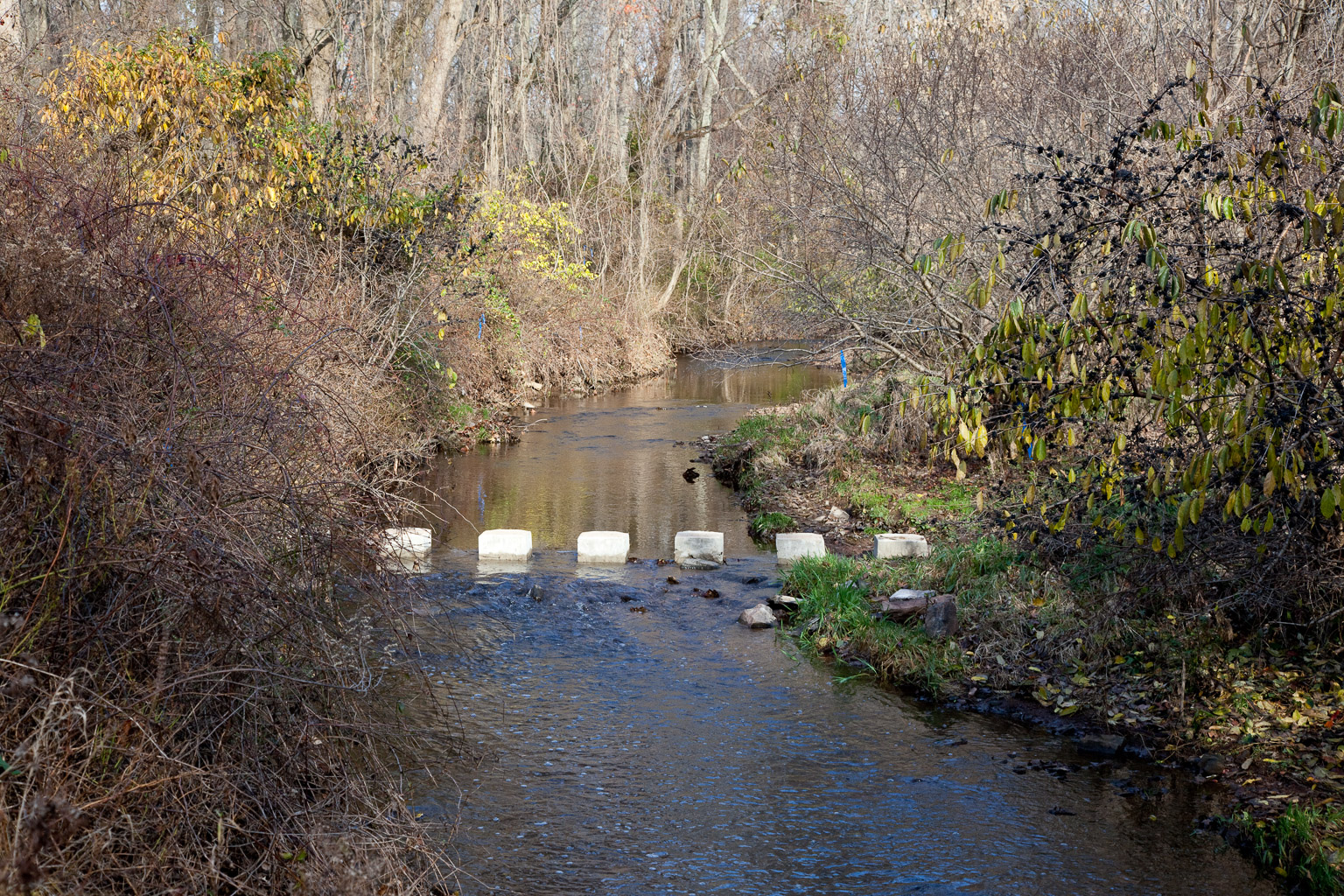 Merck stepping stones, Upper Gywnedd