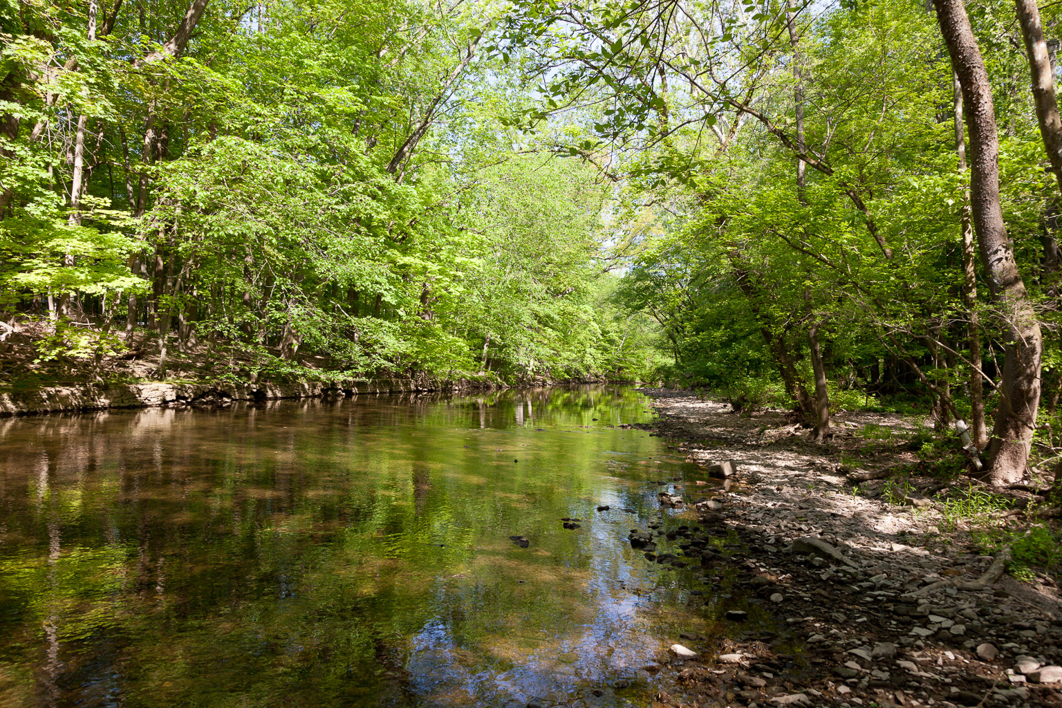 Four Mills Nature Reserve, Ambler