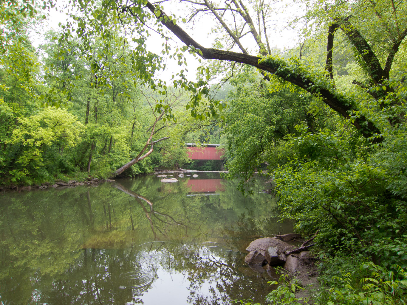 The covered bridge on Forbidden Dr, Philadelphia