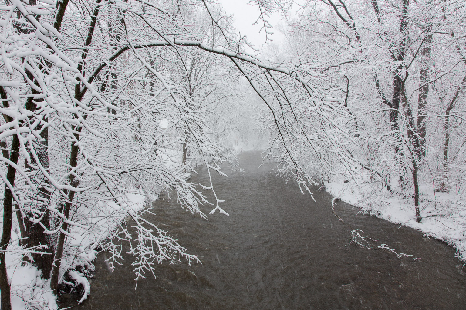 Four Mills Nature Reserve, Ambler