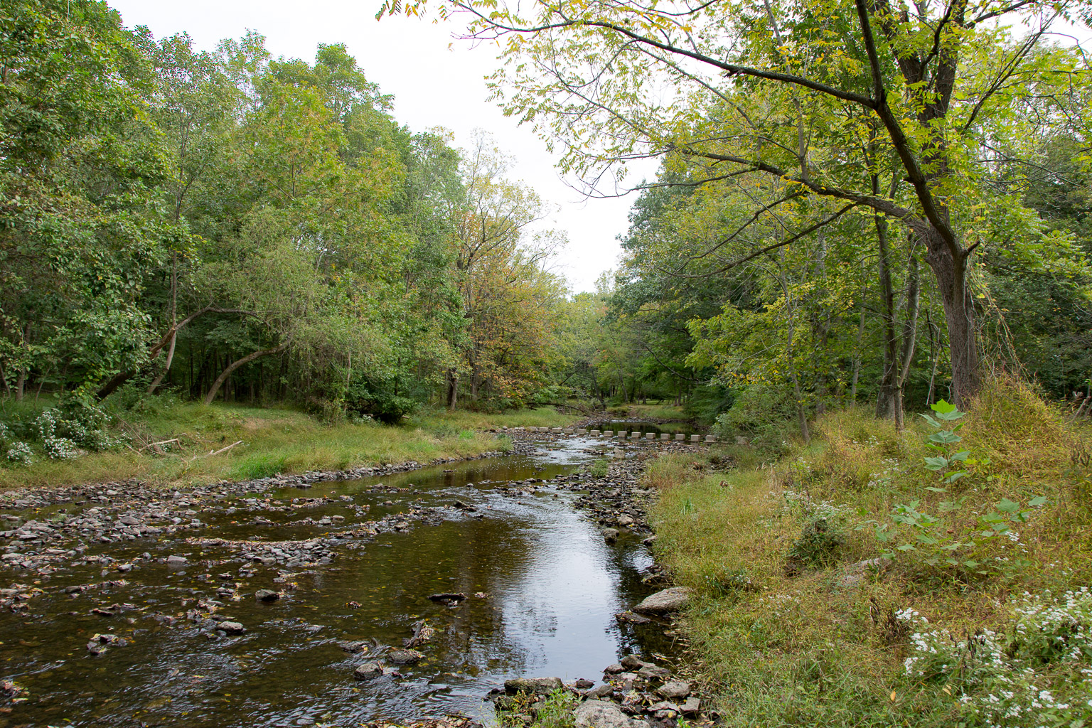 Fording Brook, Gwynedd Valley