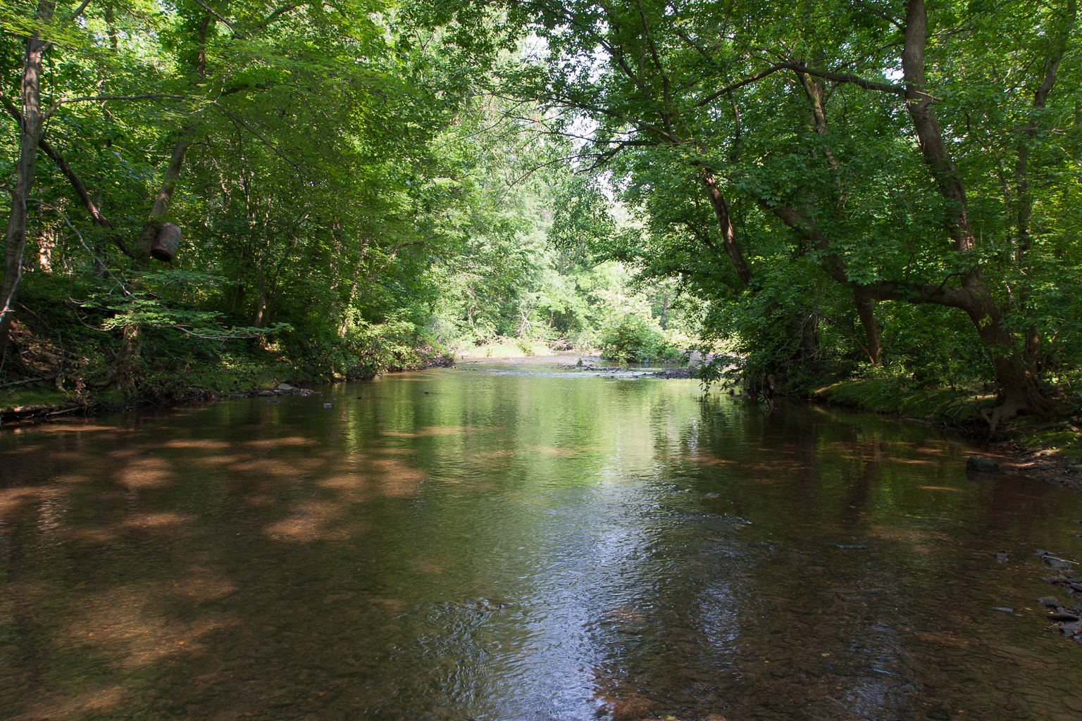 Four Mills Nature Reserve, Ambler