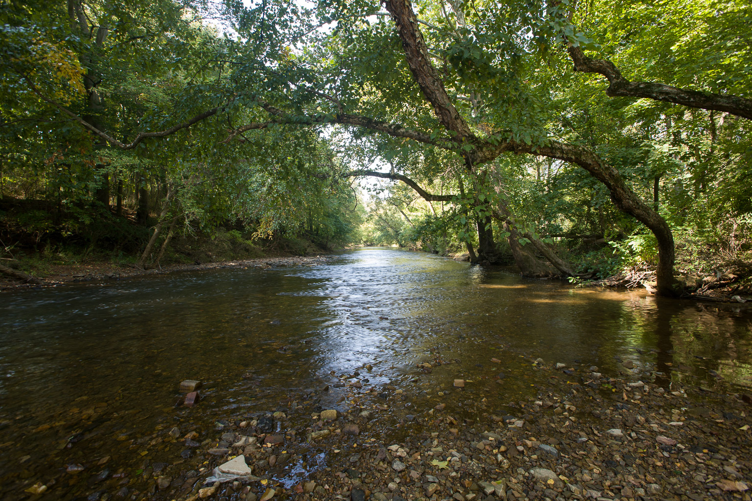 Harper's Meadow, Philadelphia