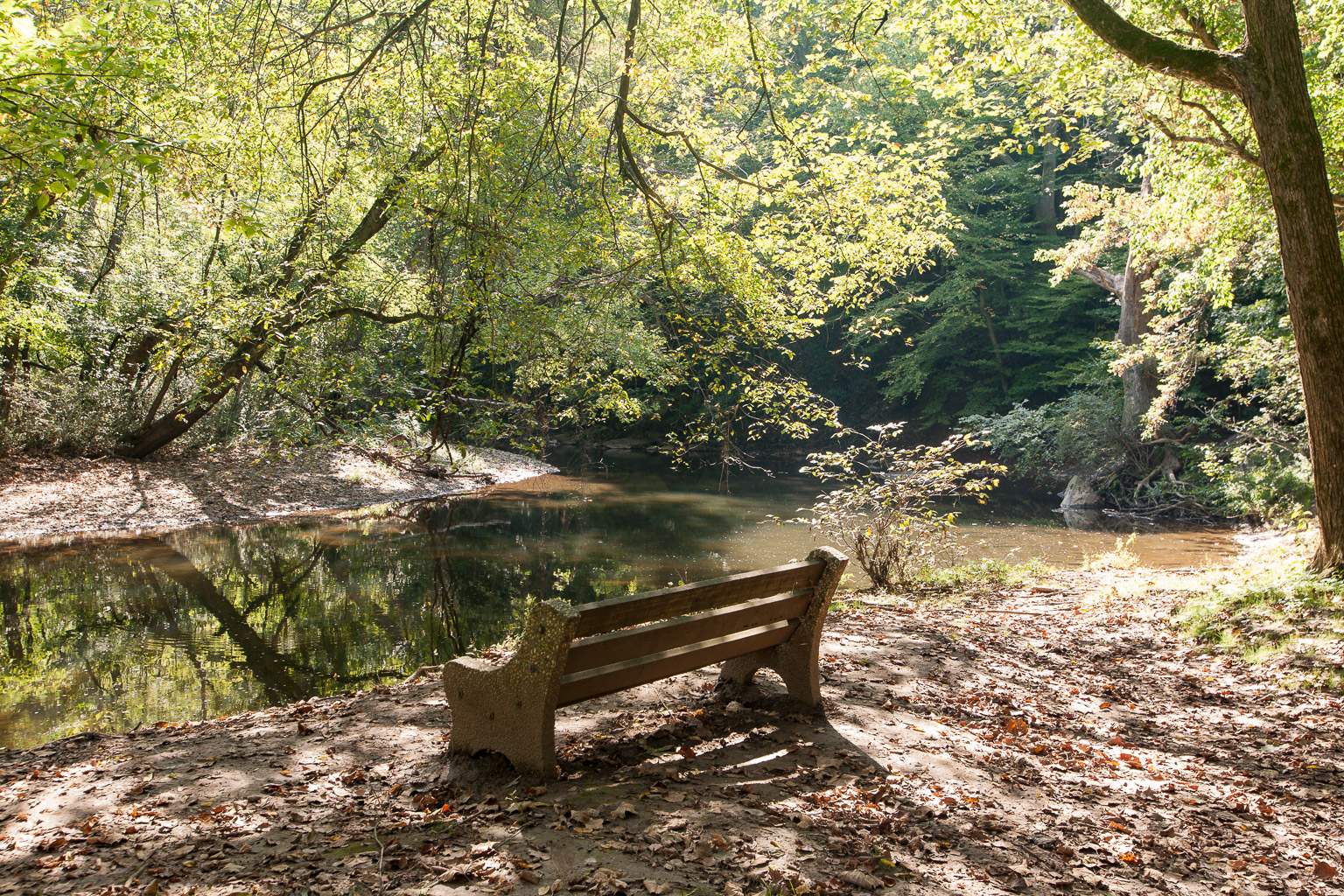 Downstream of Harper's Meadow, Philadelphia