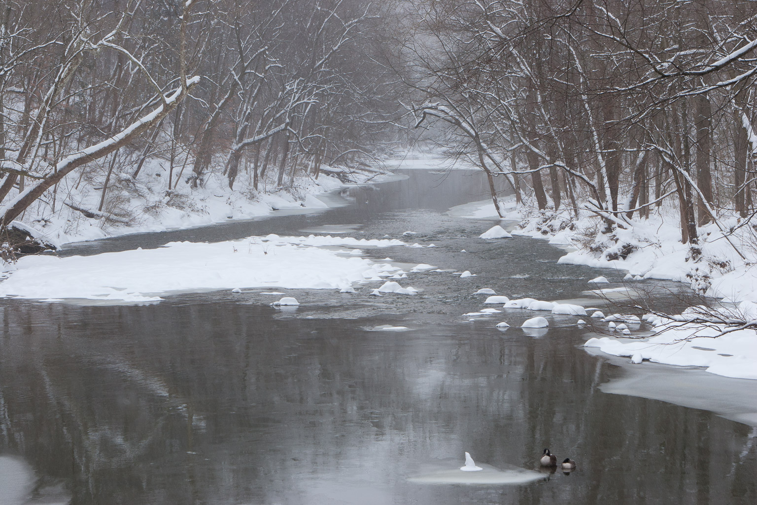 Bell's Mill Rd, Philadelphia