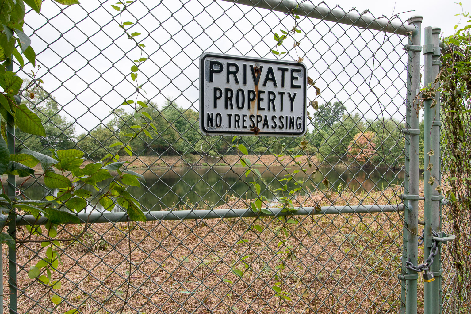 Retention basin at Montgomery Mall