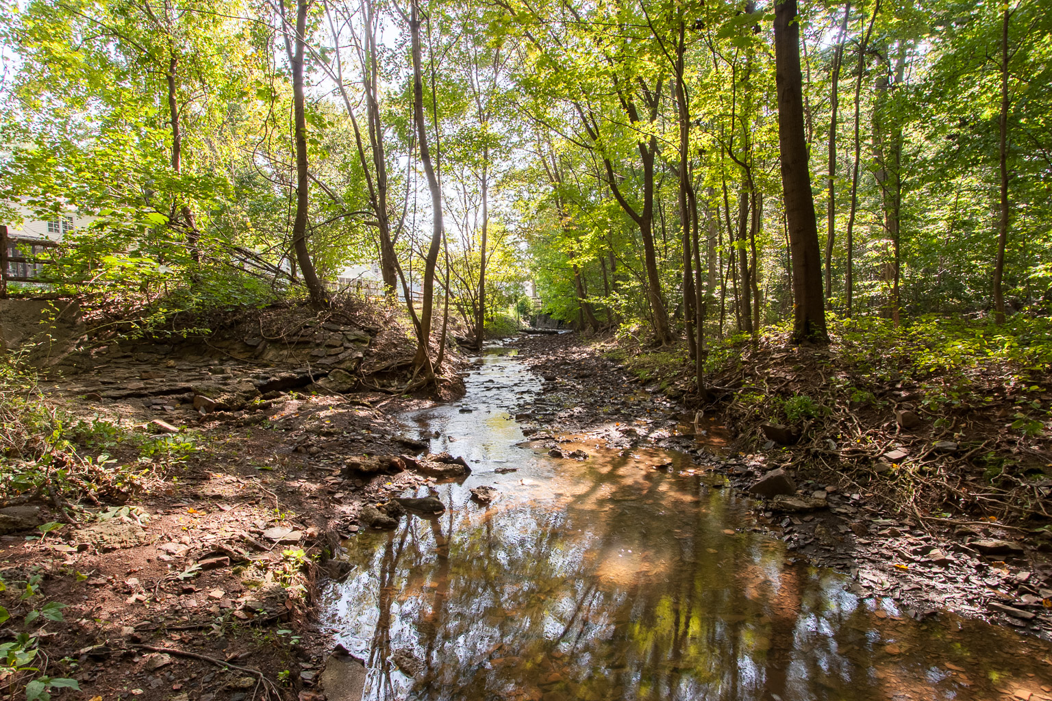 Knapp Woods, Lansdale