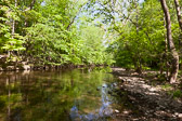 Four Mills Nature Reserve, Ambler