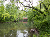 The covered bridge on Forbidden Dr, Philadelphia