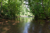 Four Mills Nature Reserve, Ambler