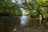 Harper's Meadow, Philadelphia