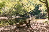 Downstream of Harper's Meadow, Philadelphia