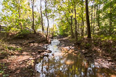 Knapp Woods, Lansdale