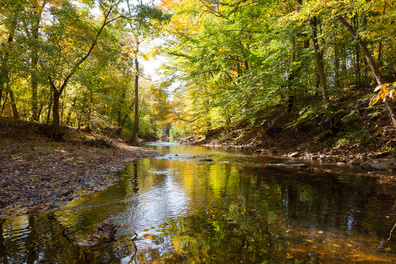 Downstream of Germantown Academy, Ft Washington